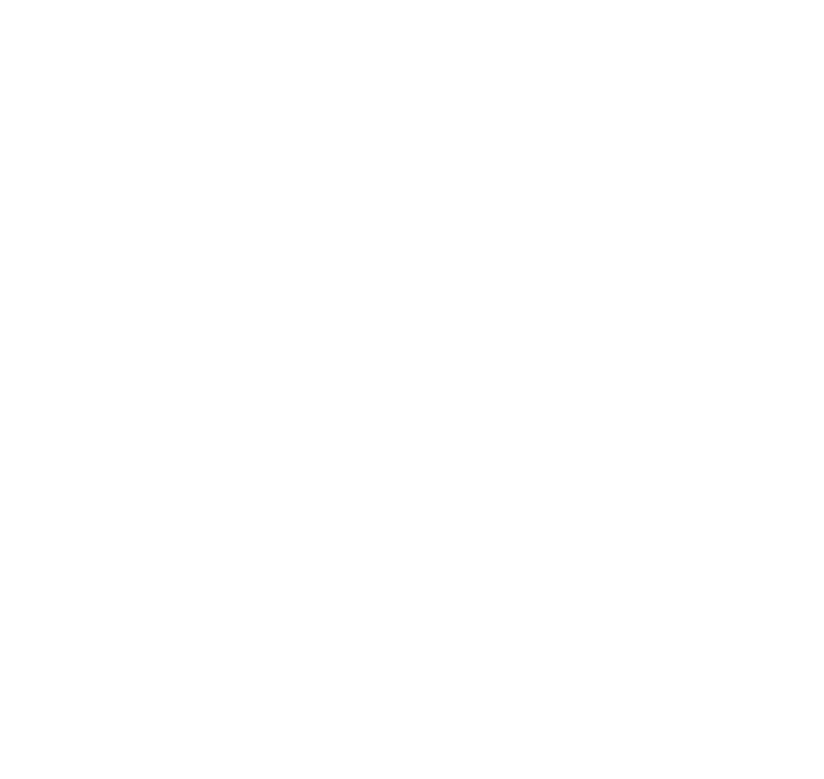 Lions Logo